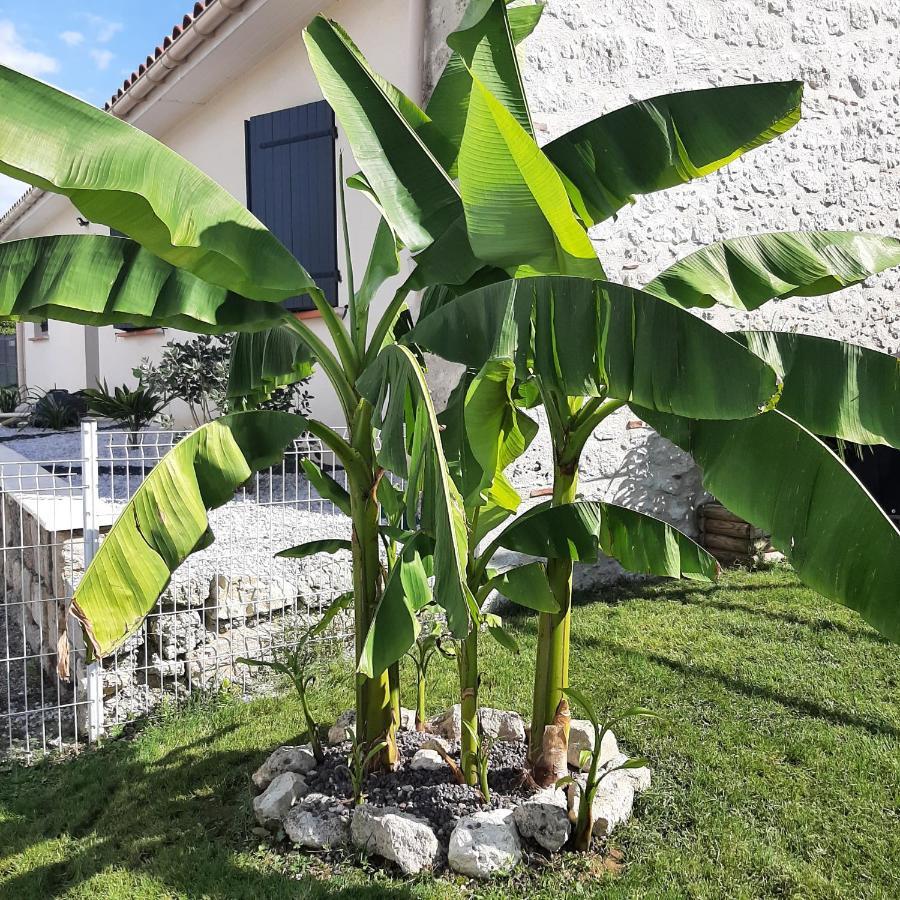 Le Domaine Vesque Vila Saint-Pierre-de-Clairac Exterior foto